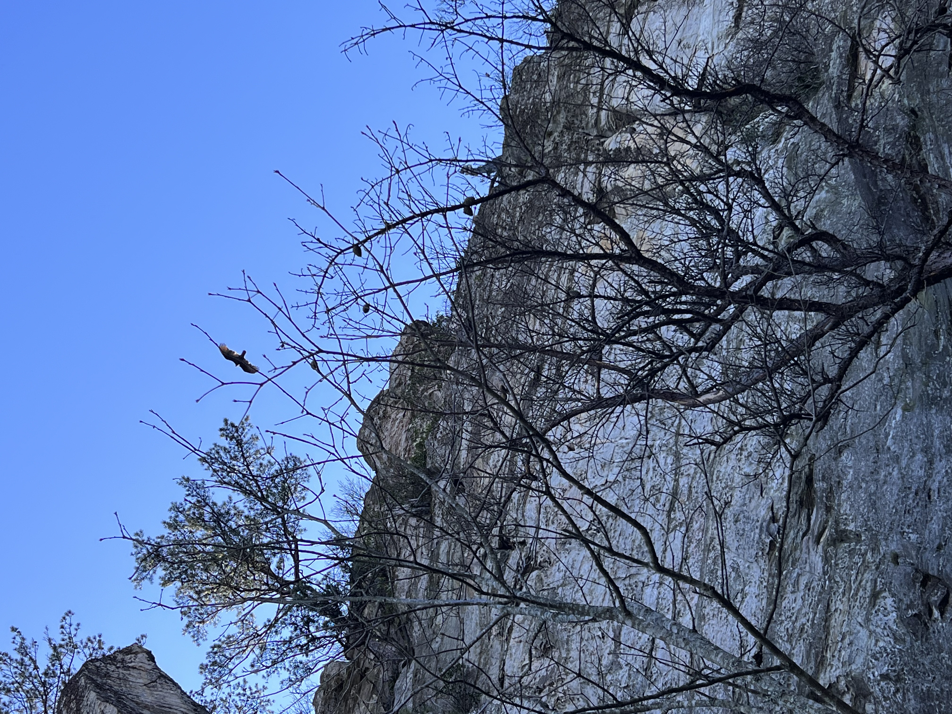 ./2023/05 - Toni Adventures/IMG_2983.JPG